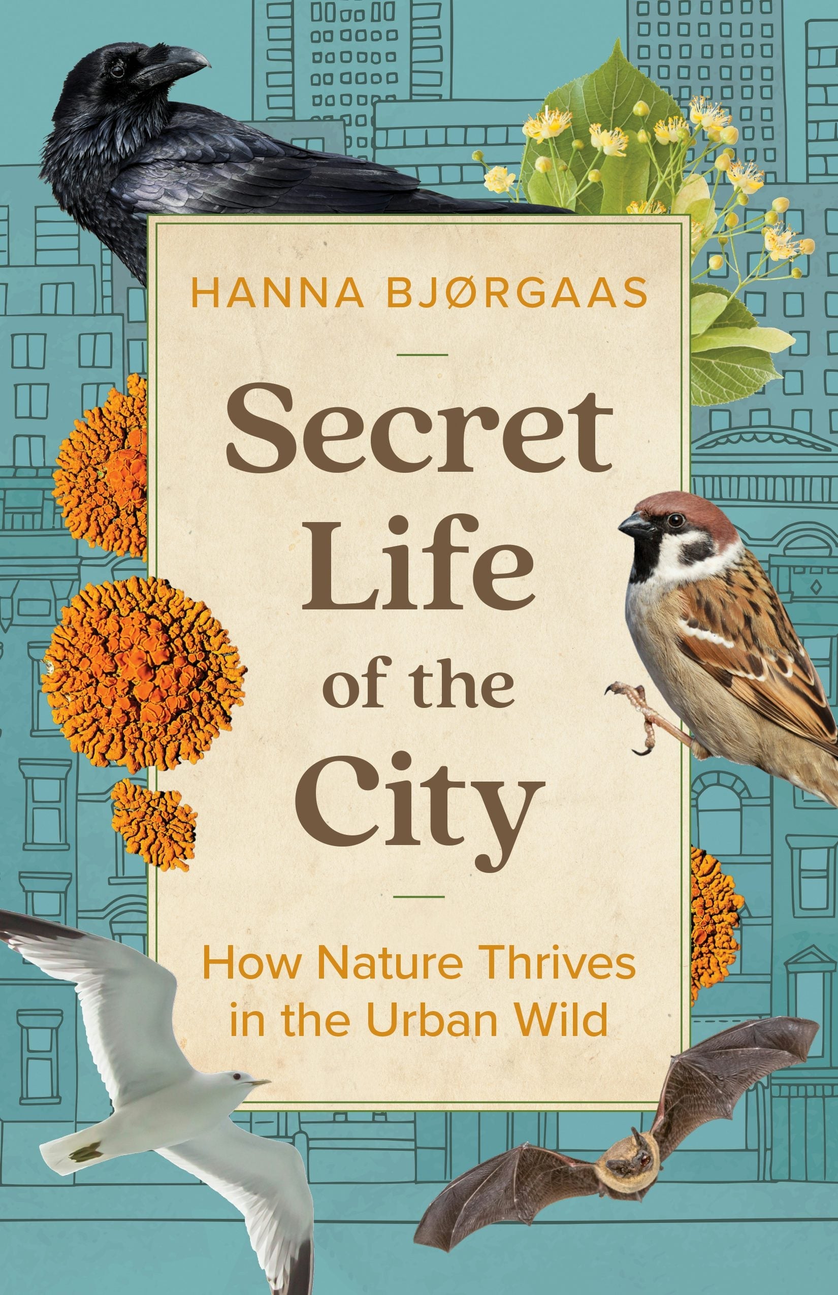 Book cover image for Secret Life of the City ISBN: 9781771649360