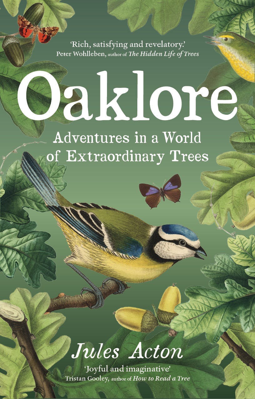 Book cover image for Oaklore ISBN: 9781771649667