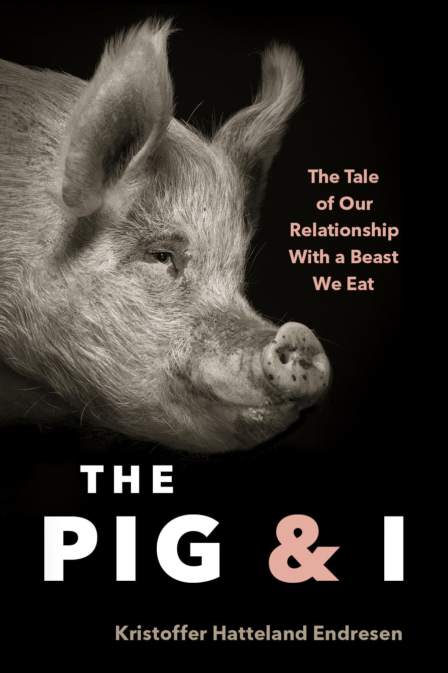 Book cover image for The Pig and I ISBN: 9781771649902
