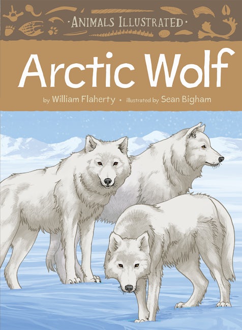 Book cover image for Animals Illustrated: Arctic Wolf ISBN: 9781772272130