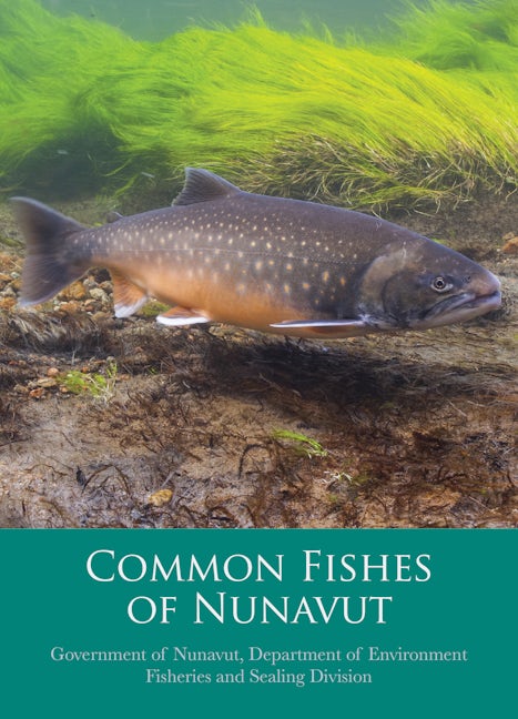 Book cover image for Common Fishes of Nunavut ISBN: 9781772272314