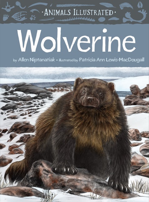 Book cover image for Animals Illustrated: Wolverine ISBN: 9781772272987