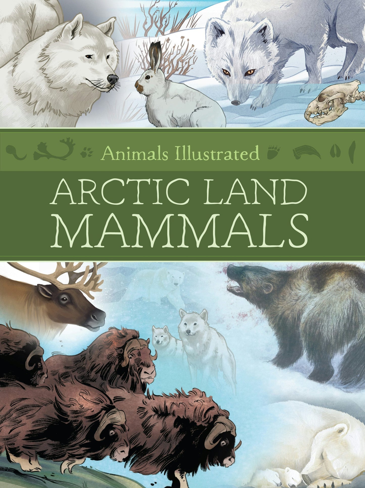 Book cover image for Animals Illustrated: Arctic Land Mammals ISBN: 9781772275858