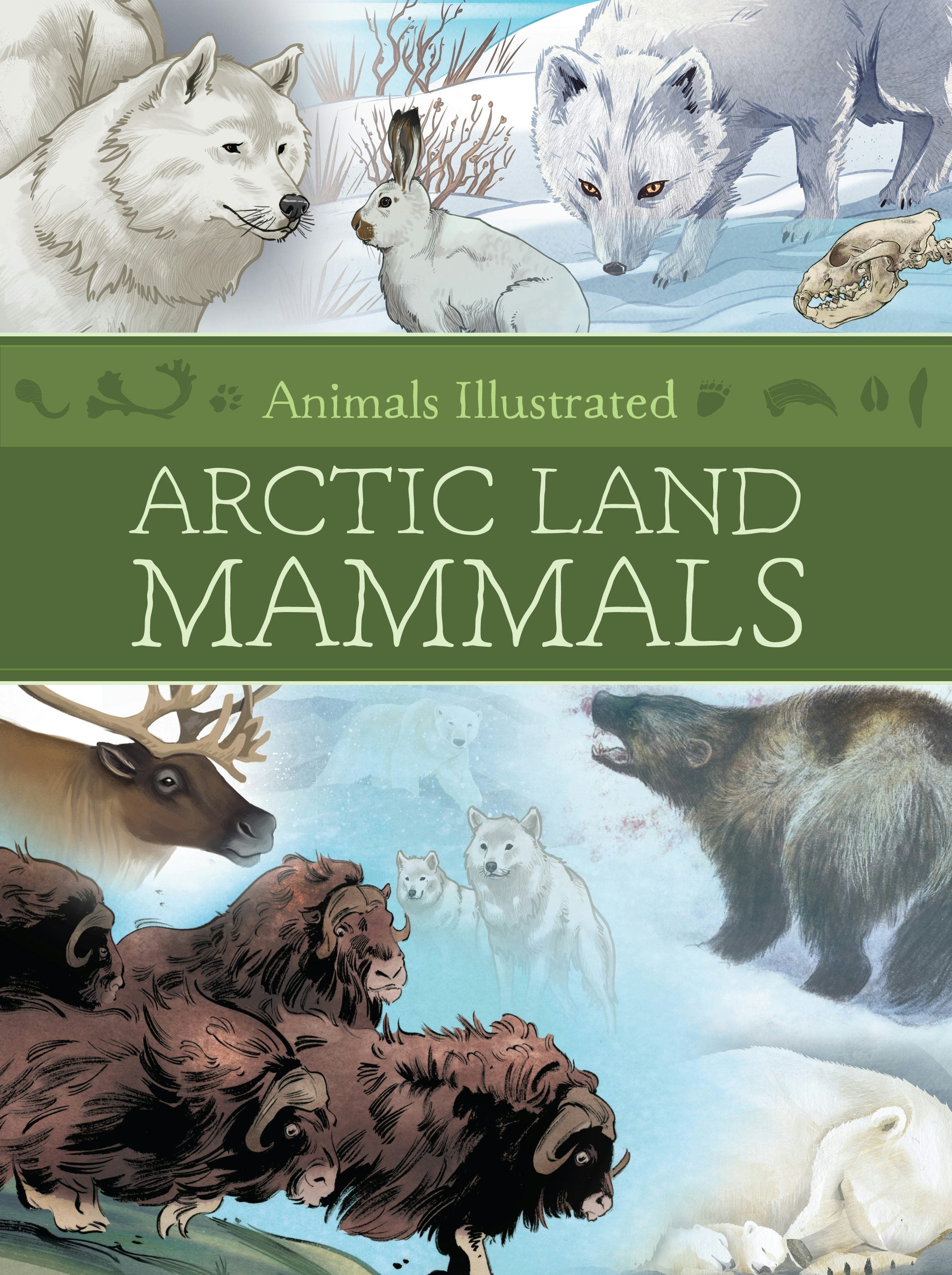 Book cover image for Animals Illustrated: Arctic Land Mammals ISBN: 9781772275858