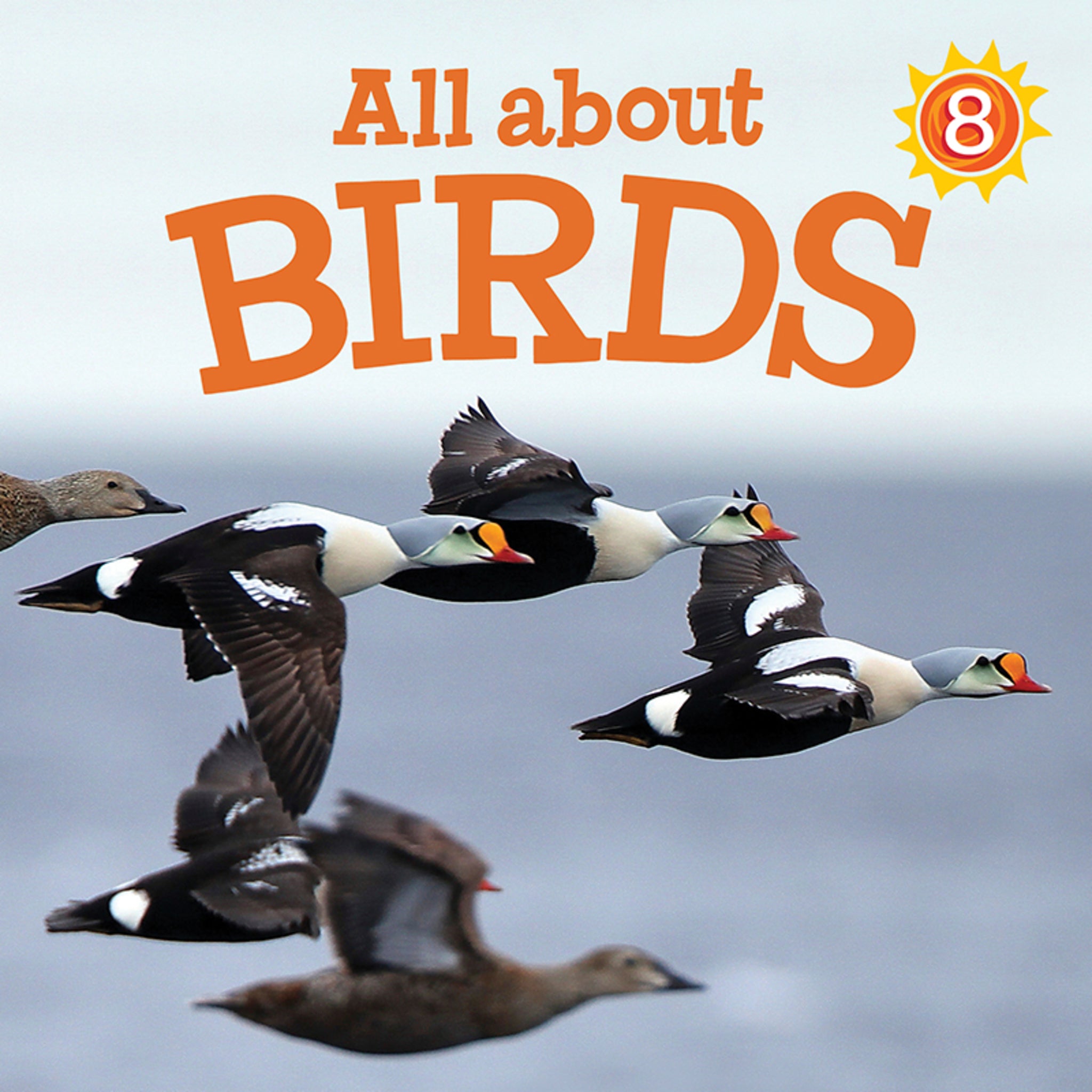 Cover image for All about Birds ISBN 9781772660951