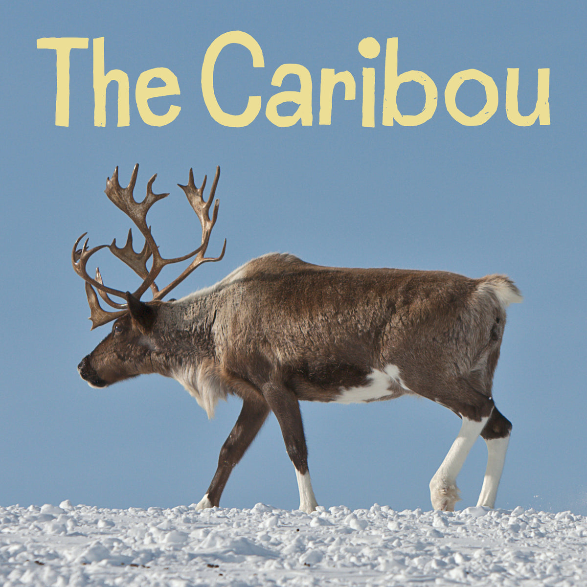Cover image for The Caribou ISBN 9781772668308