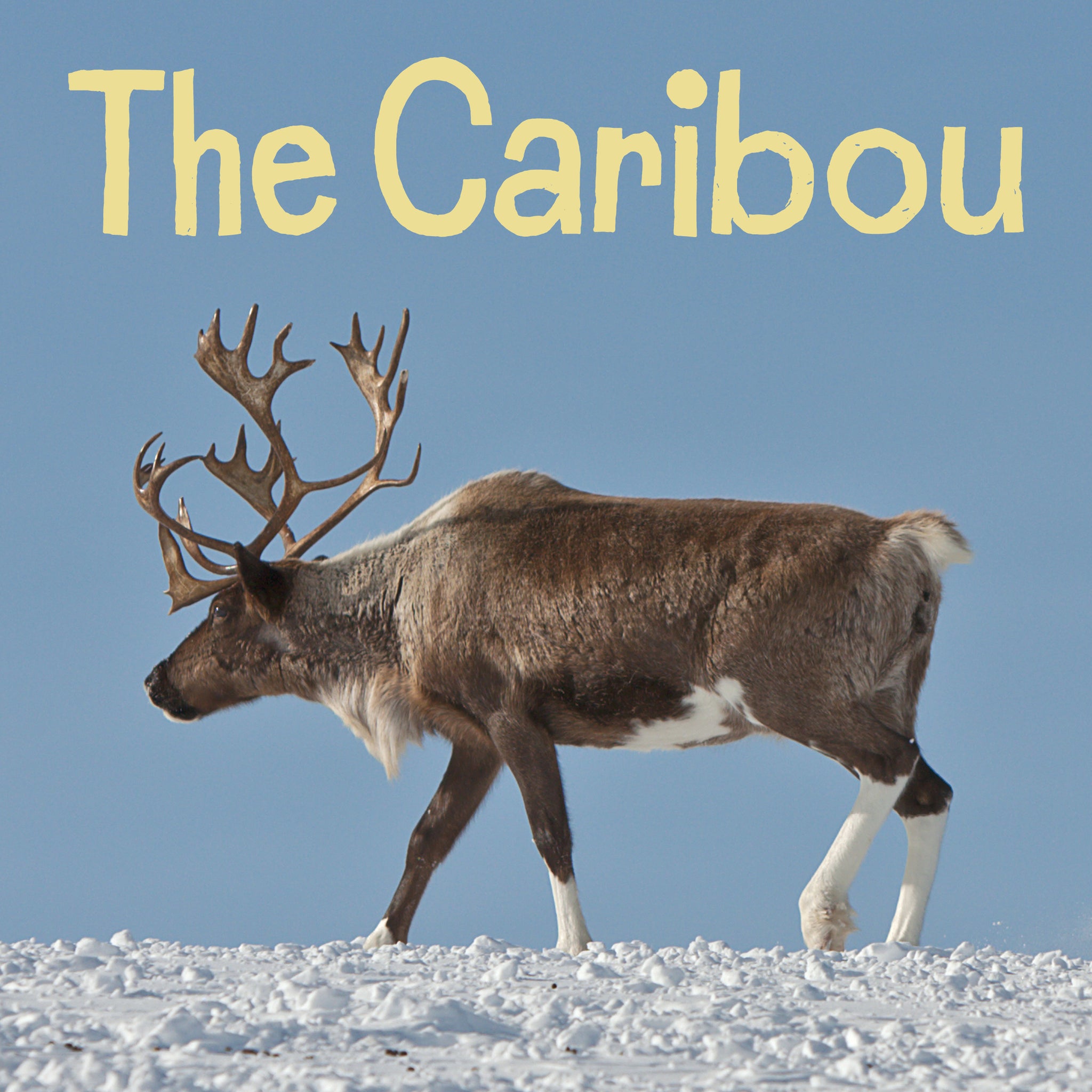 Cover image for The Caribou ISBN 9781772668308