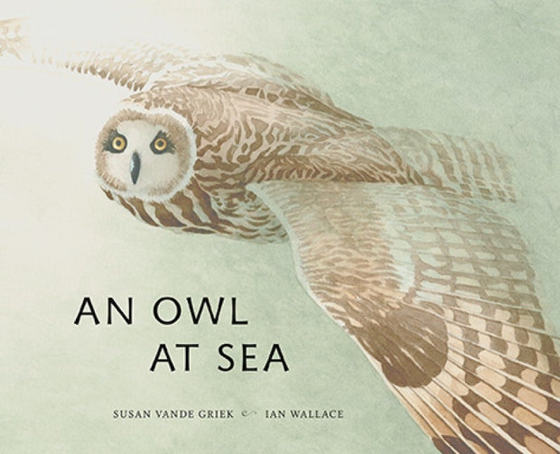 Cover image for An Owl at Sea, isbn: 9781773061115