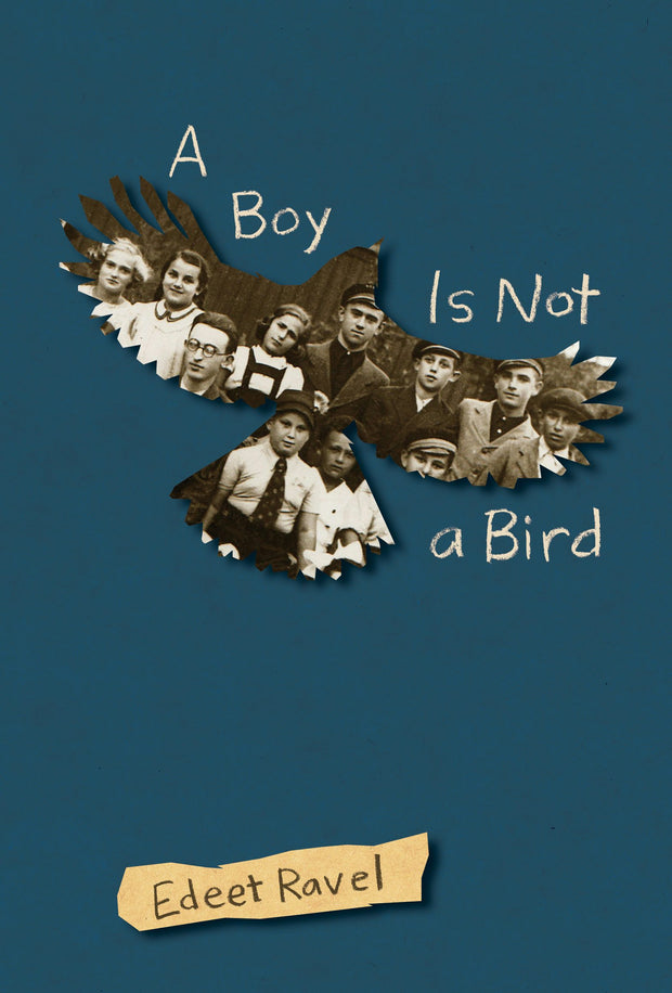 Cover image for A Boy Is Not a Bird, isbn: 9781773065885