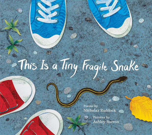Cover image for This Is a Tiny Fragile Snake, isbn: 9781773067841