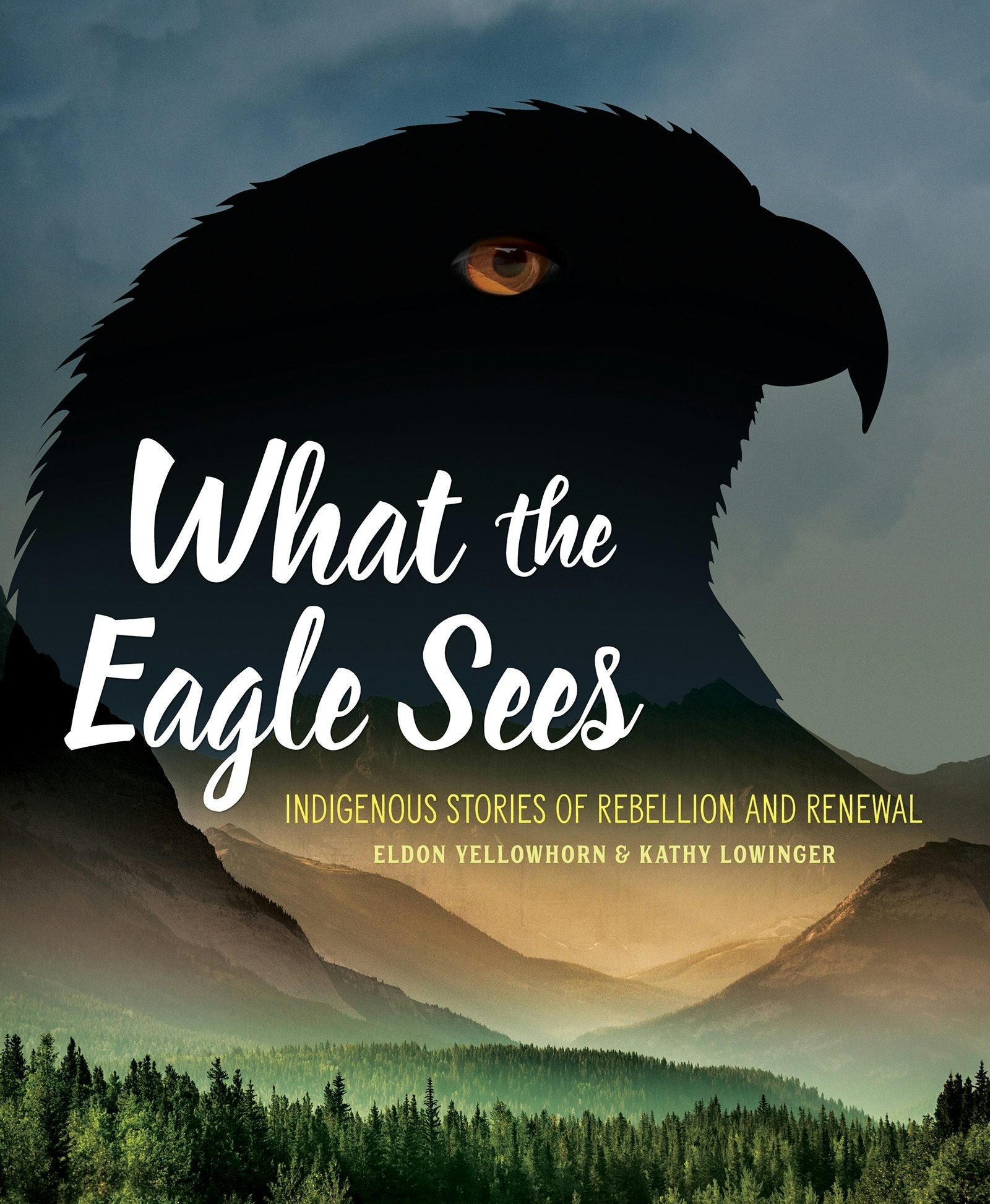 Book cover image for What the Eagle Sees ISBN: 9781773213286