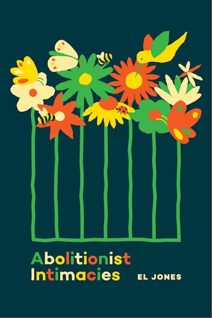 Book cover image for Abolitionist Intimacies ISBN: 9781773635521