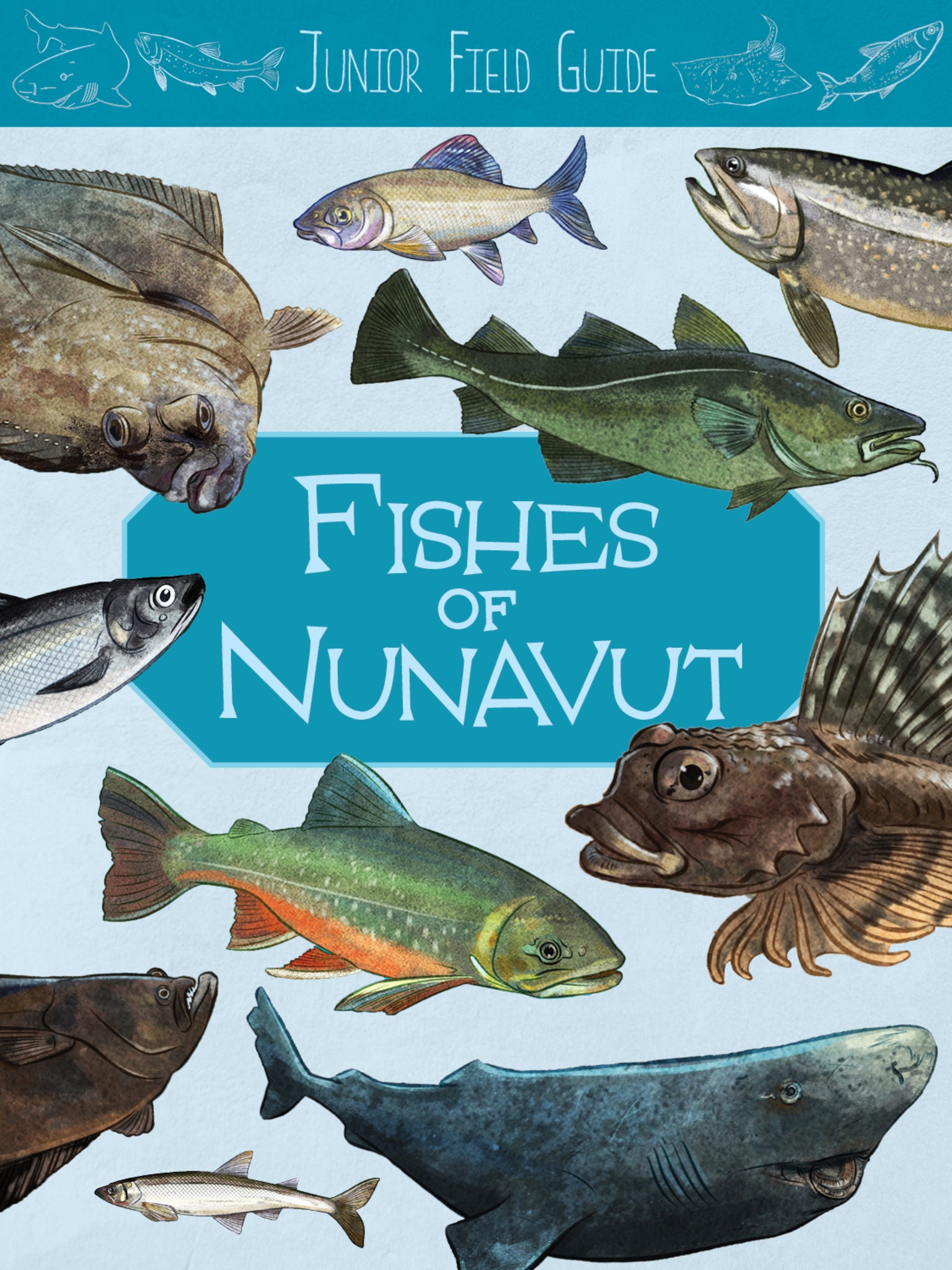Cover image for Junior Field Guide: Fishes of Nunavut ISBN 9781774500521