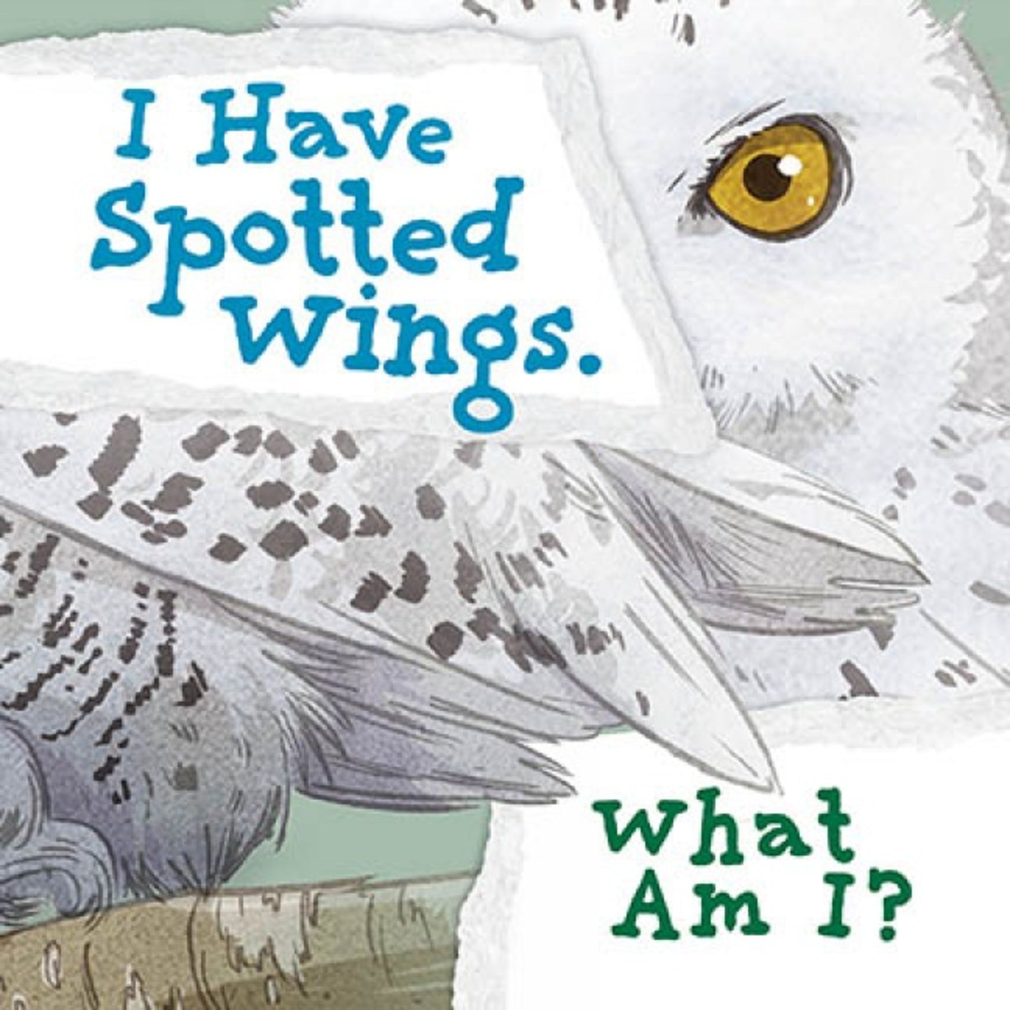 Cover image for I Have Spotted Wings. What Am I? ISBN 9781774506301