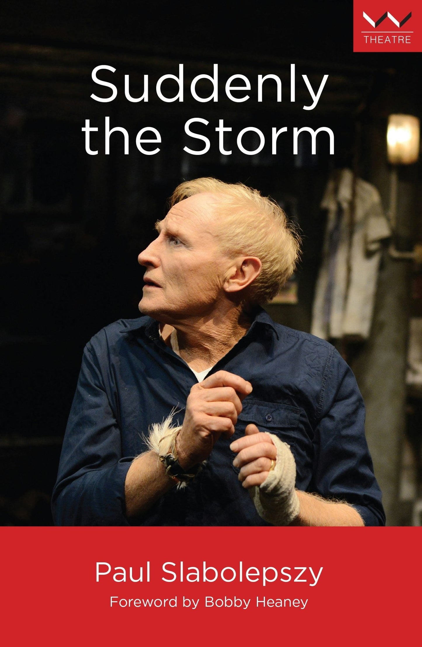 Book cover image for Suddenly the Storm ISBN: 9781776146406