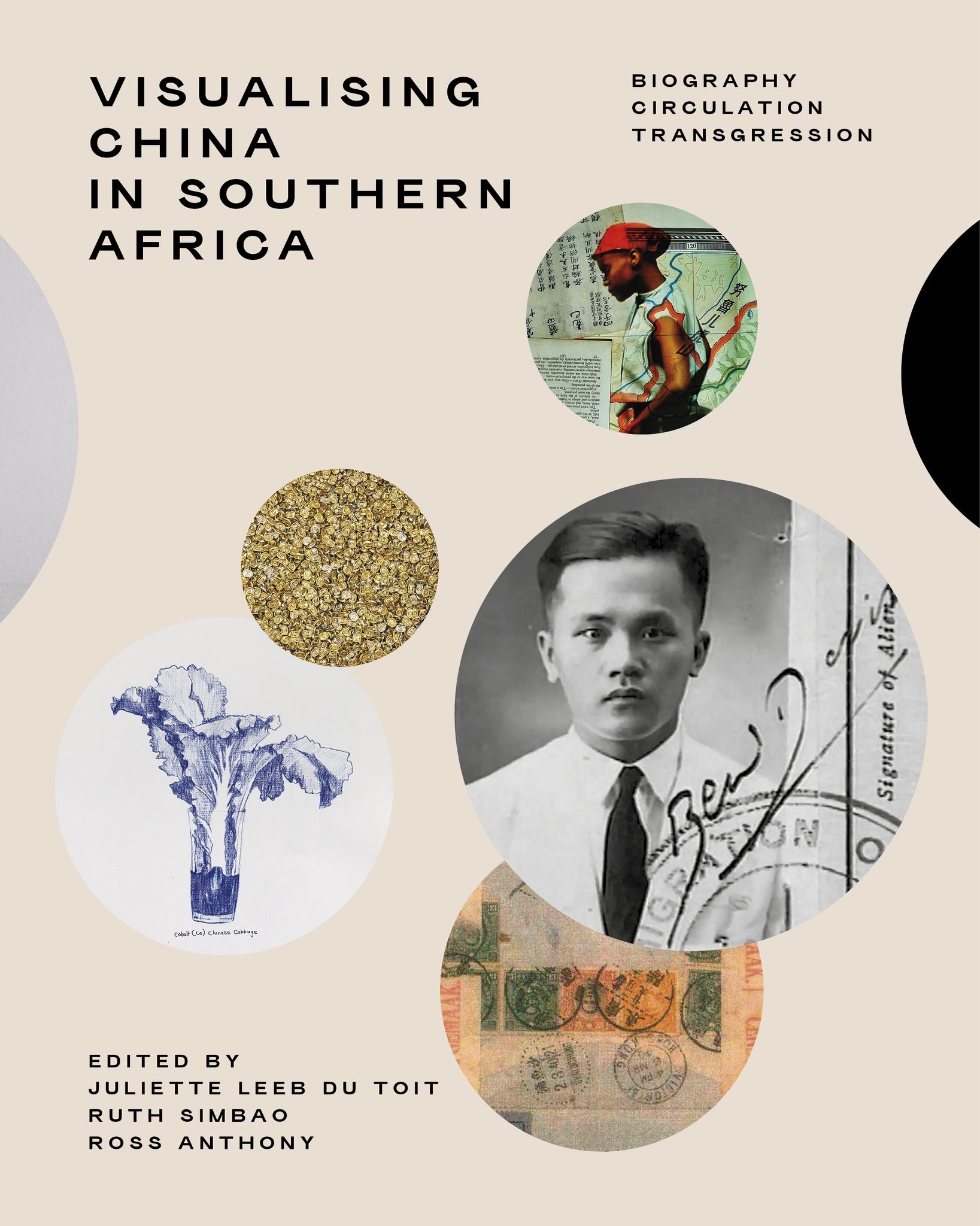 Cover image for Visualising China in Southern Africa ISBN 9781776147670
