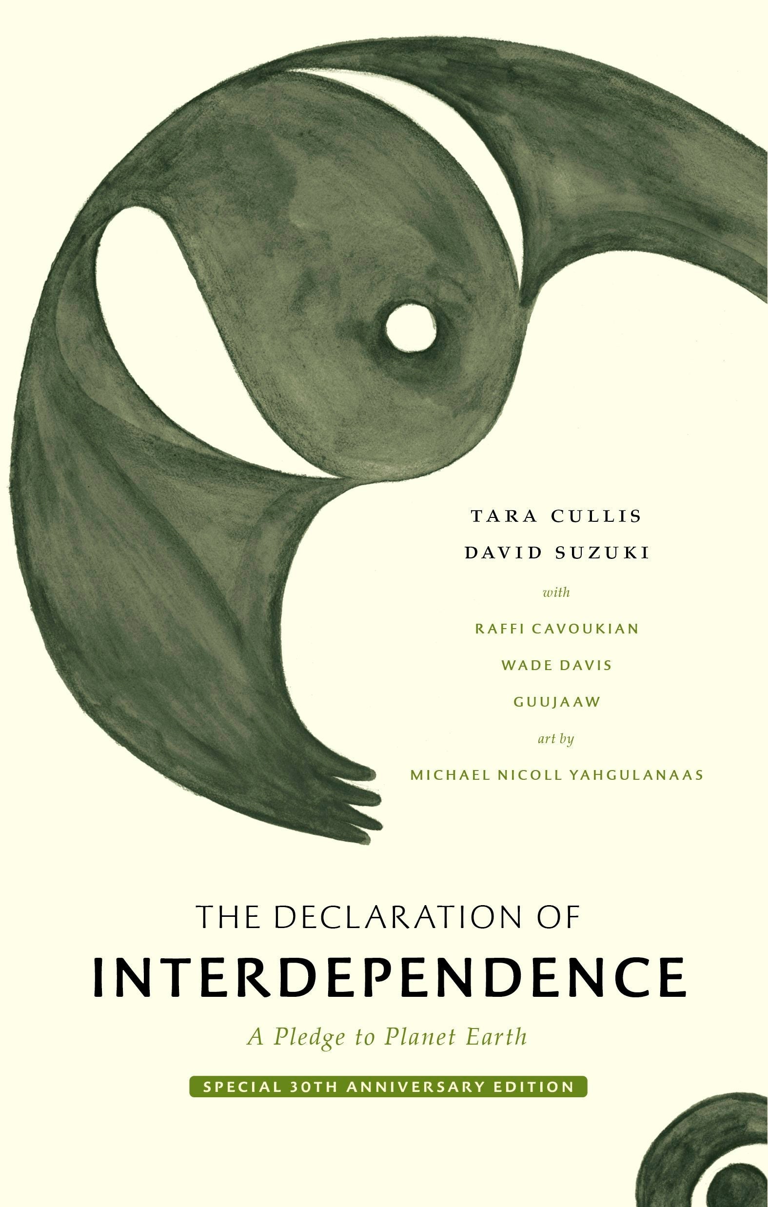 Book cover image for The Declaration of Interdependence ISBN: 9781778400049