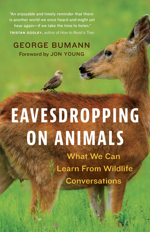 Cover image for Eavesdropping on Animals, isbn: 9781778400216