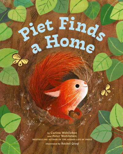 Cover image for Piet Finds A Home, isbn: 9781778400308