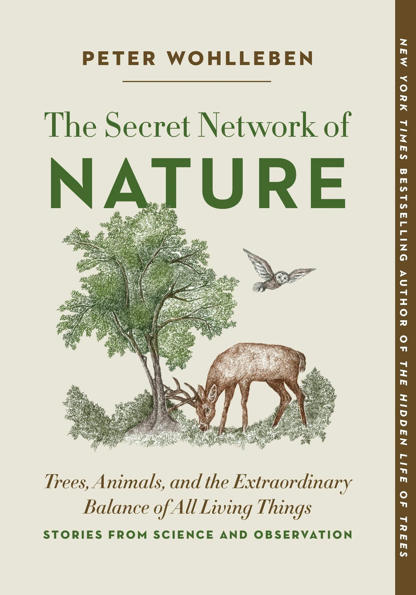 Book cover image for The Secret Network of Nature ISBN: 9781778400346