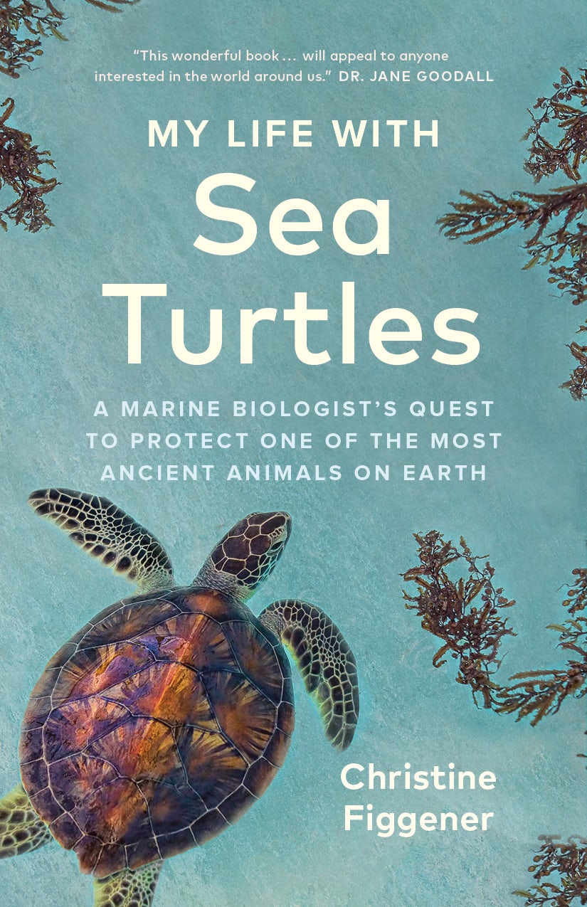 Book cover image for My Life with Sea Turtles ISBN: 9781778400599