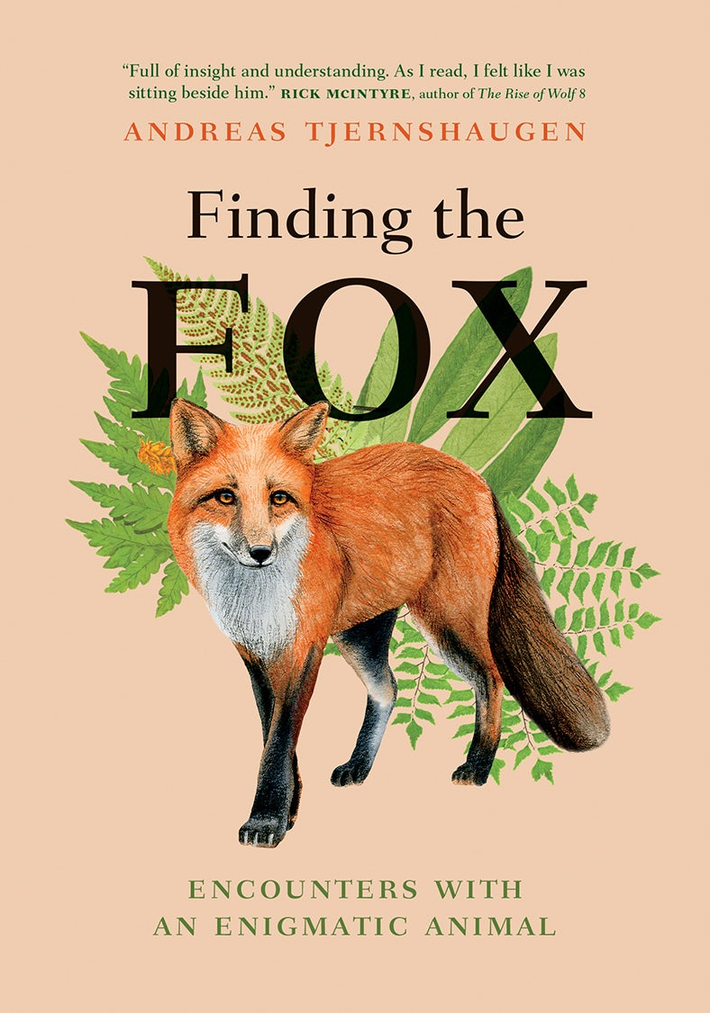 Book cover image for Finding the Fox ISBN: 9781778400735