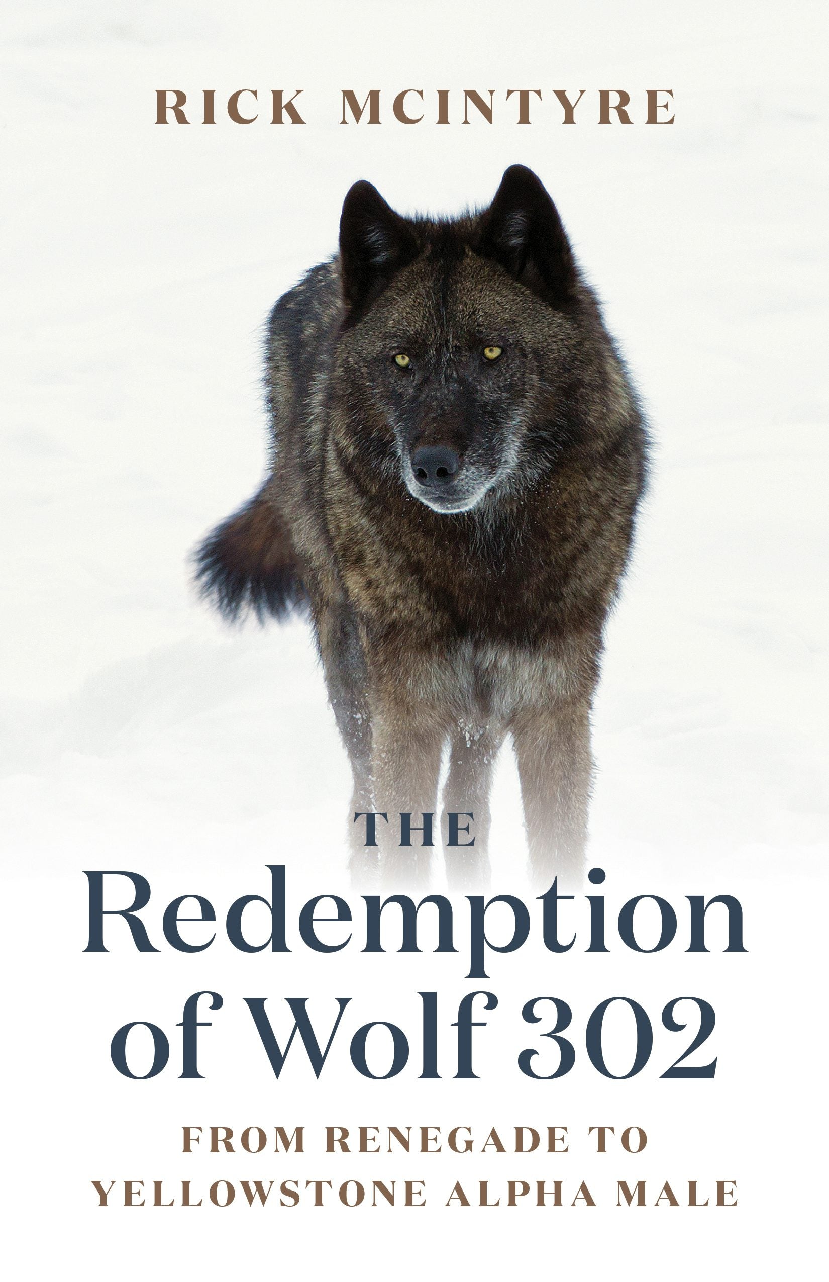 Book cover image for The Redemption of Wolf 302 ISBN: 9781778400759