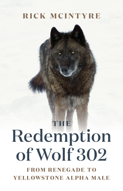 Cover image for The Redemption of Wolf 302, isbn: 9781778400759