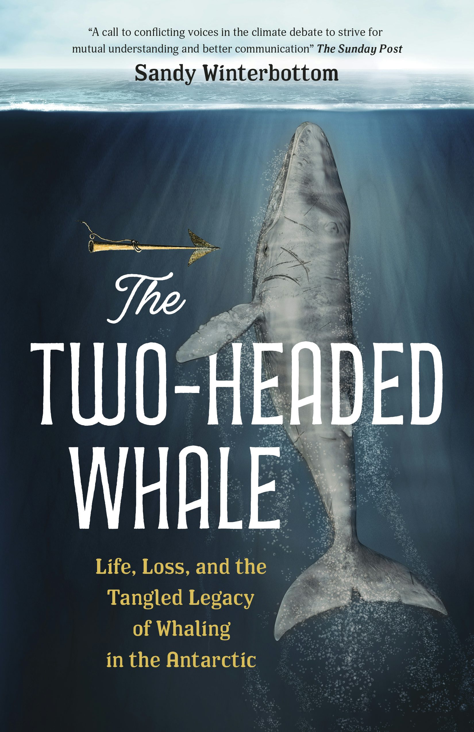 Book cover image for The Two-Headed Whale ISBN: 9781778400902