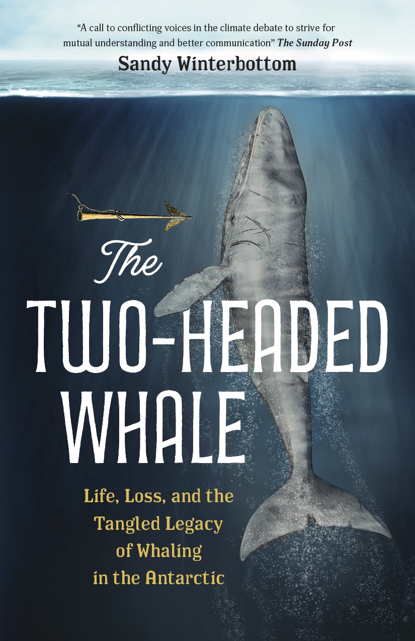 Book cover image for The Two-Headed Whale ISBN: 9781778400919