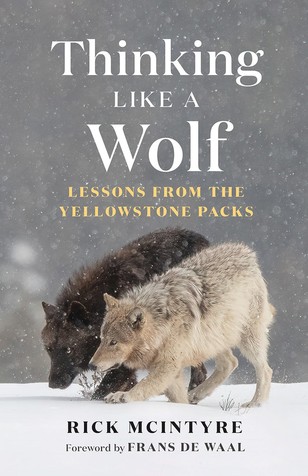 Cover image for Thinking Like a Wolf, isbn: 9781778401268