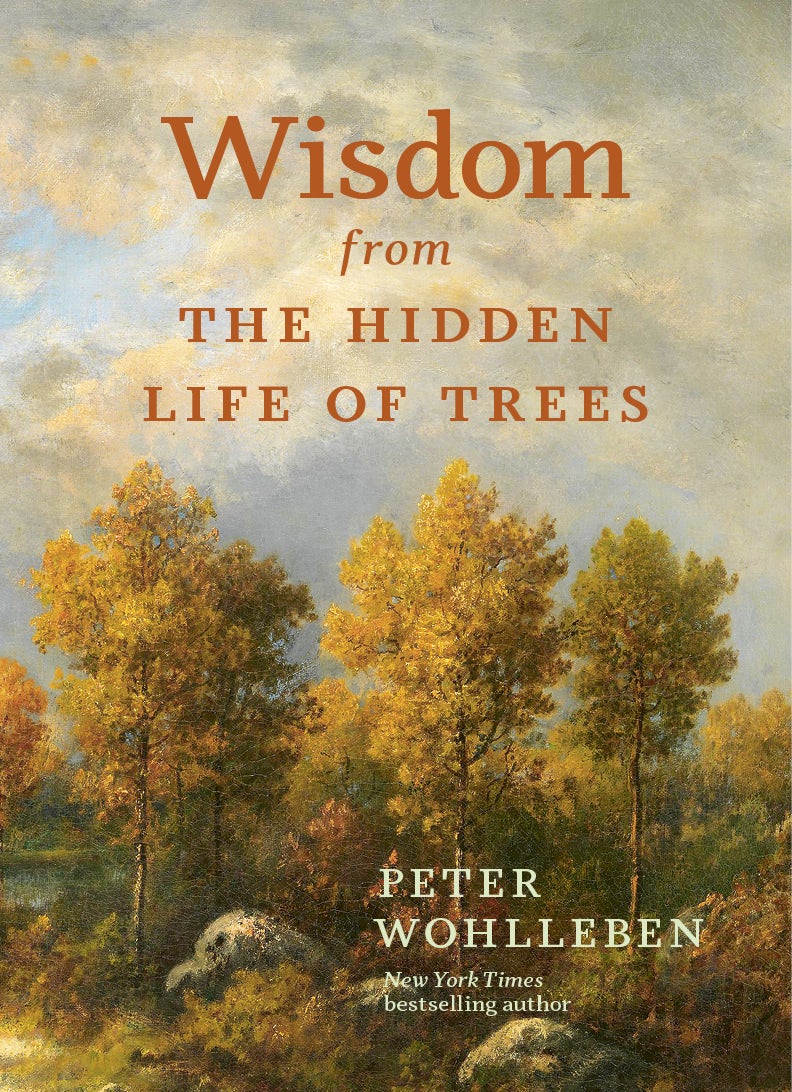 Book cover image for Wisdom From The Hidden Life of Trees ISBN: 9781778401404