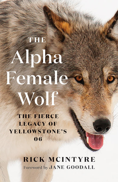 Cover image for The Alpha Female Wolf, isbn: 9781778401770