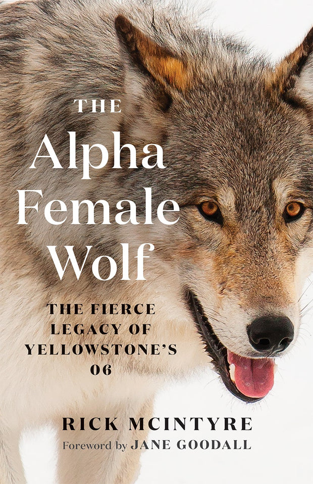 Cover image for The Alpha Female Wolf, isbn: 9781778401770