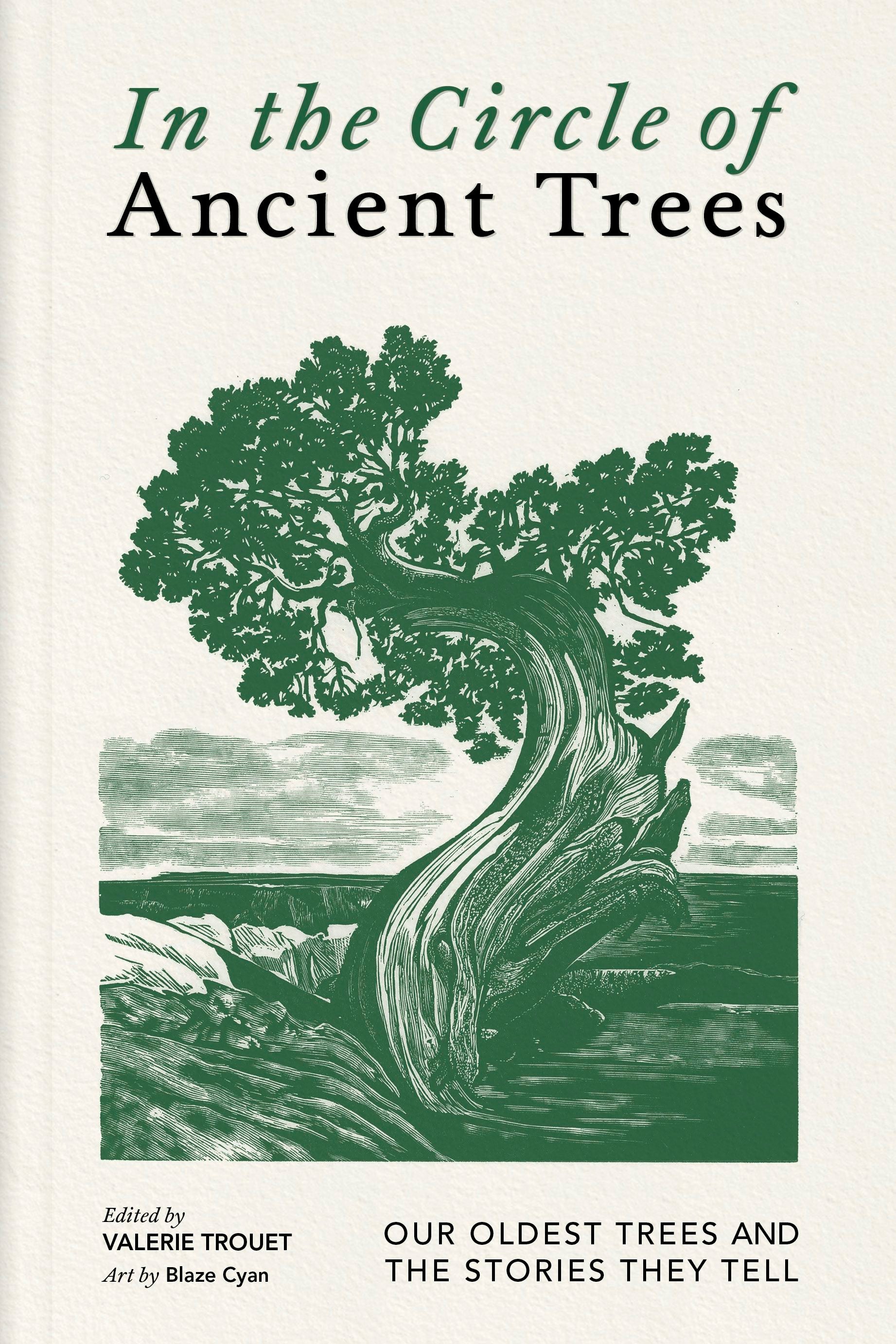 Book cover image for In the Circle of Ancient Trees ISBN: 9781778402685