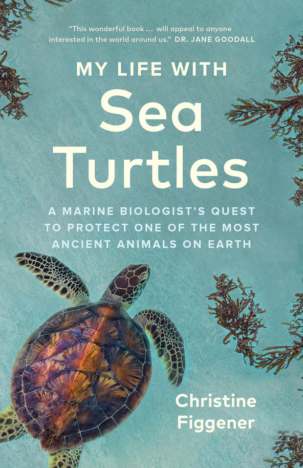 Cover image for My Life with Sea Turtles, isbn: 9781778402890