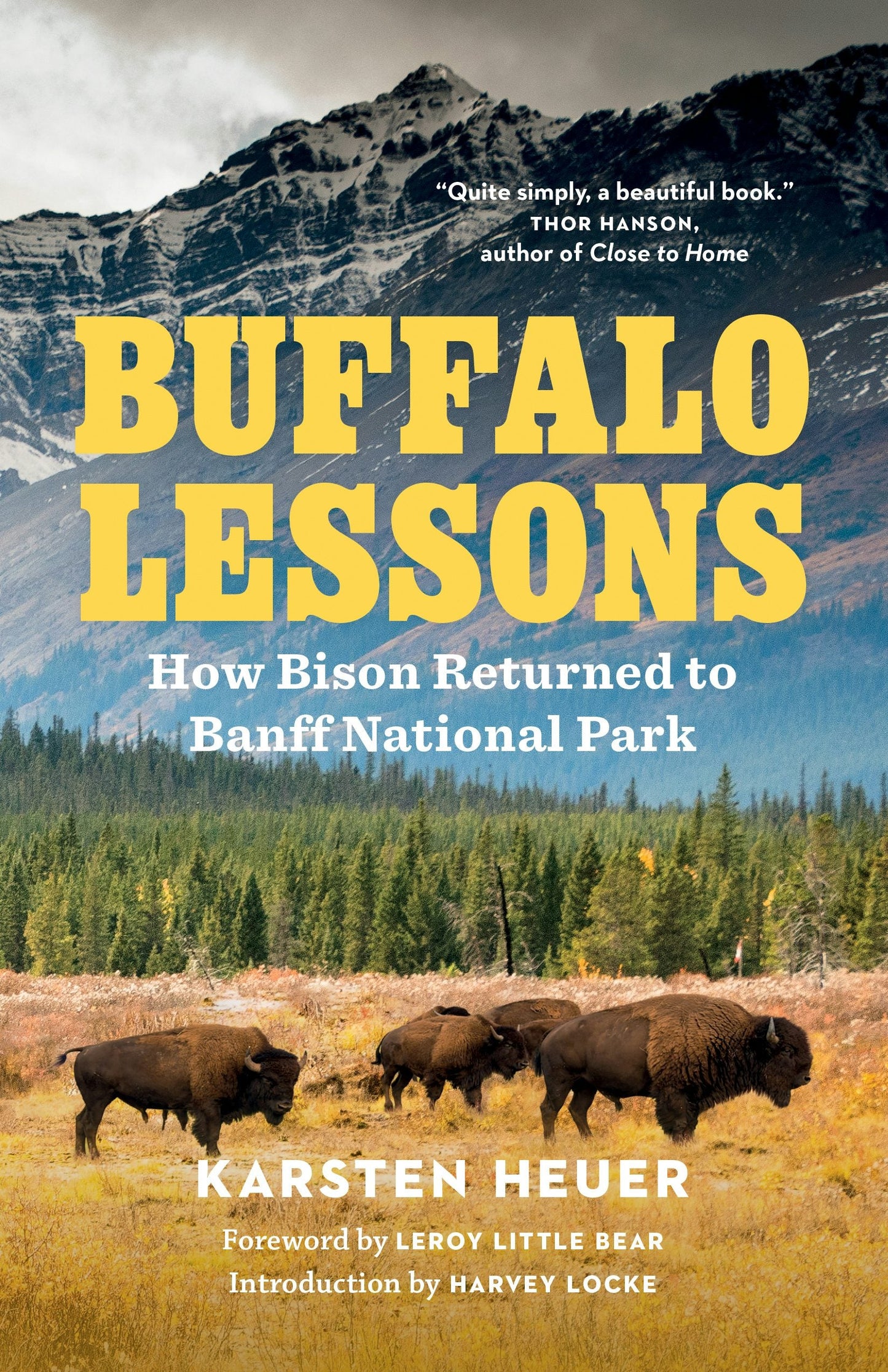 Book cover image for Buffalo Lessons ISBN: 9781778403149
