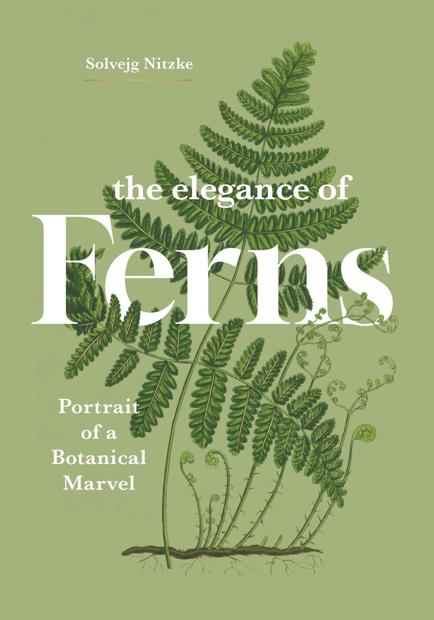 Book cover image for The Elegance of Ferns ISBN: 9781778403385