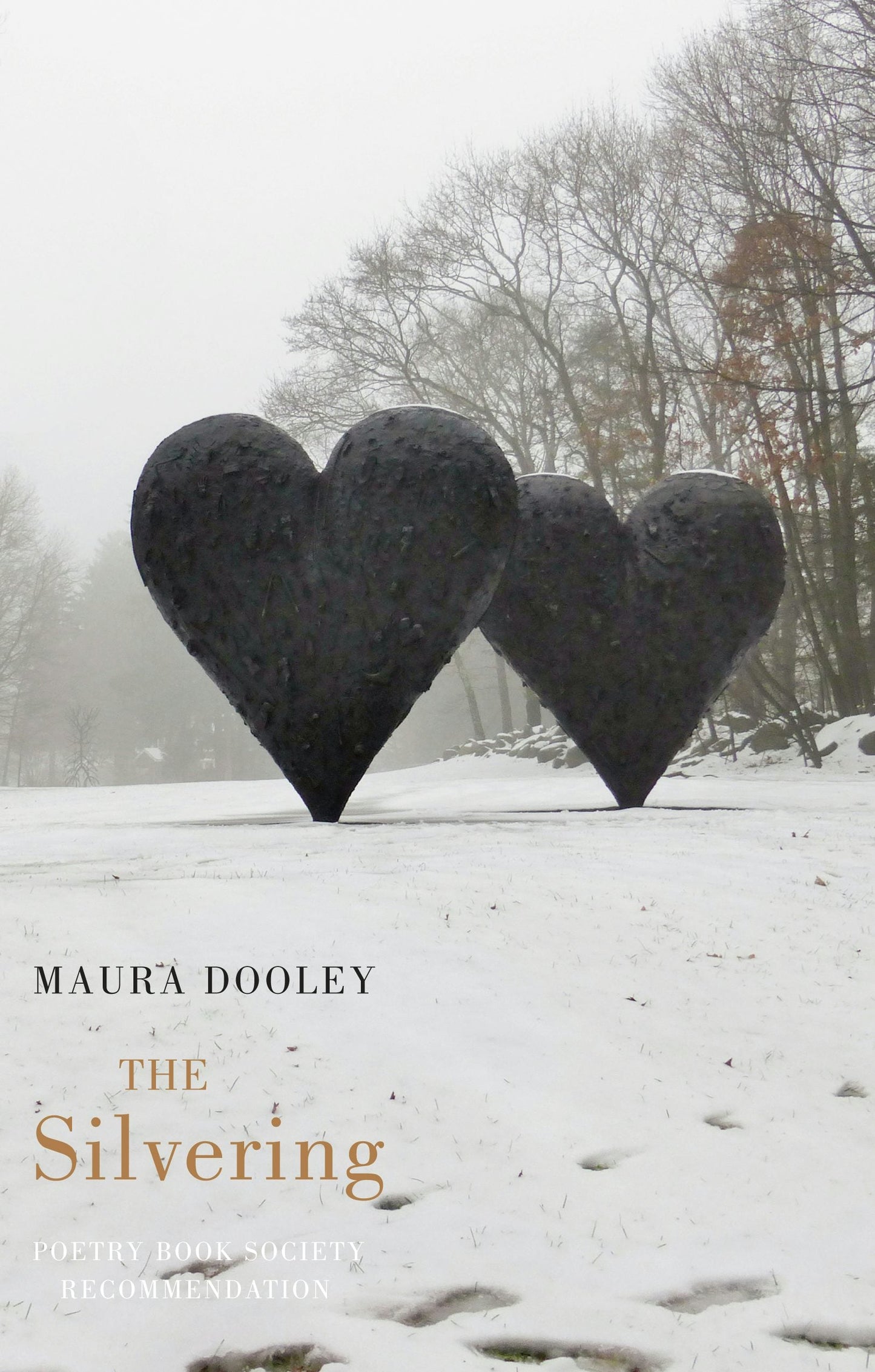 Book cover image for The Silvering ISBN: 9781780370941