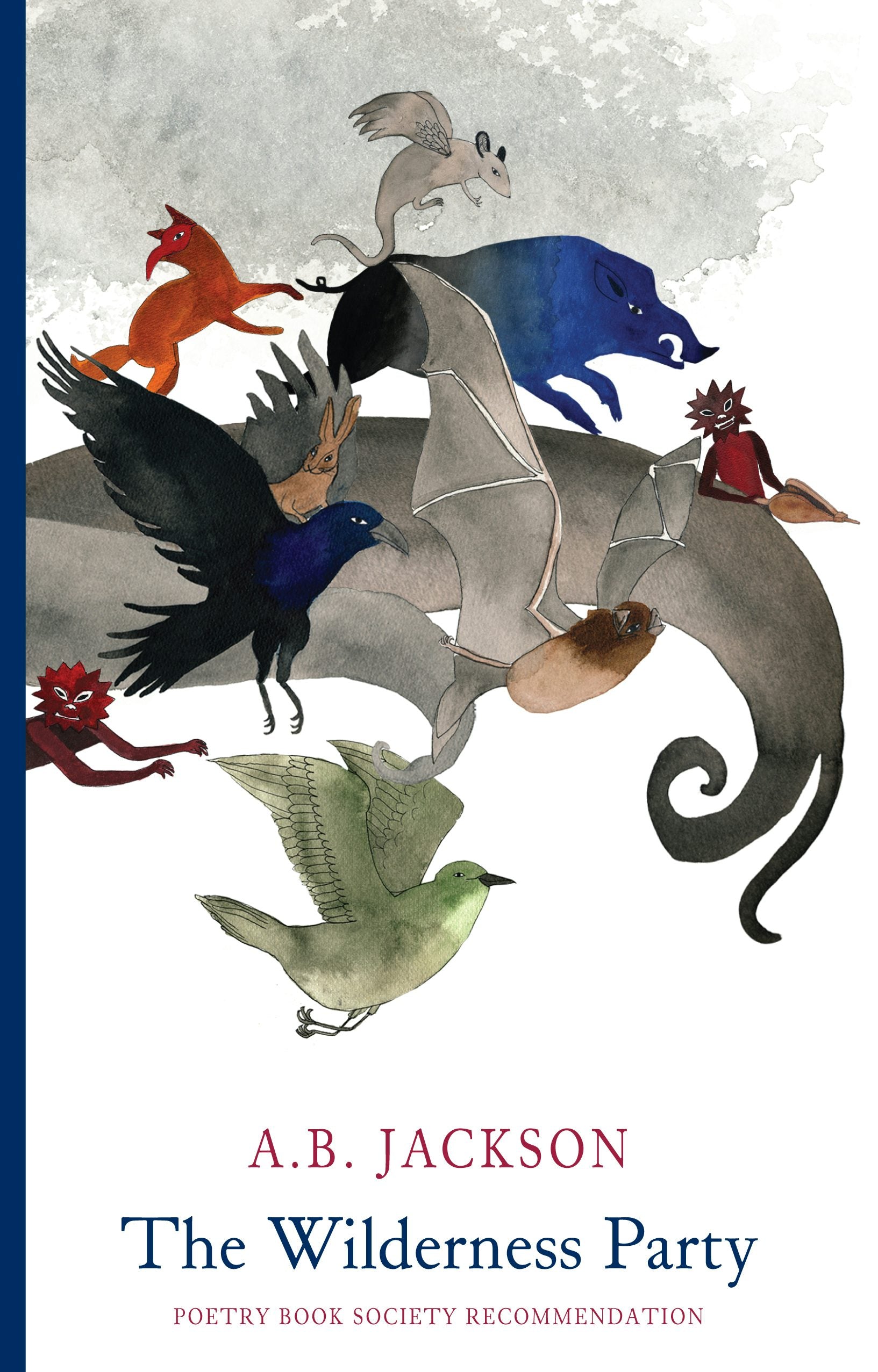 Book cover image for The Wilderness Party ISBN: 9781780372600