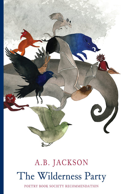 Cover image for The Wilderness Party, isbn: 9781780372600