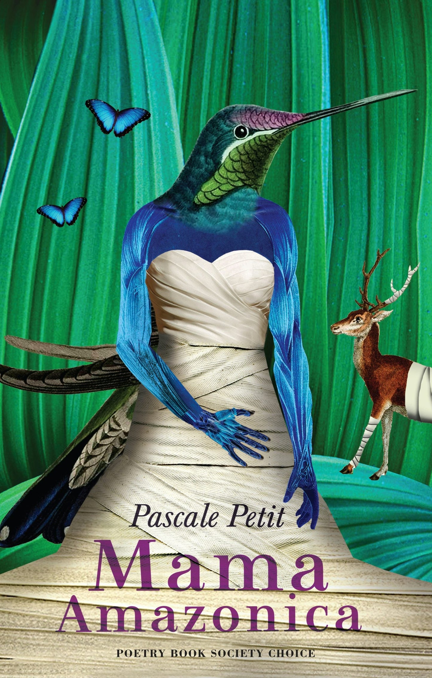 Book cover image for Mama Amazonica ISBN: 9781780372945