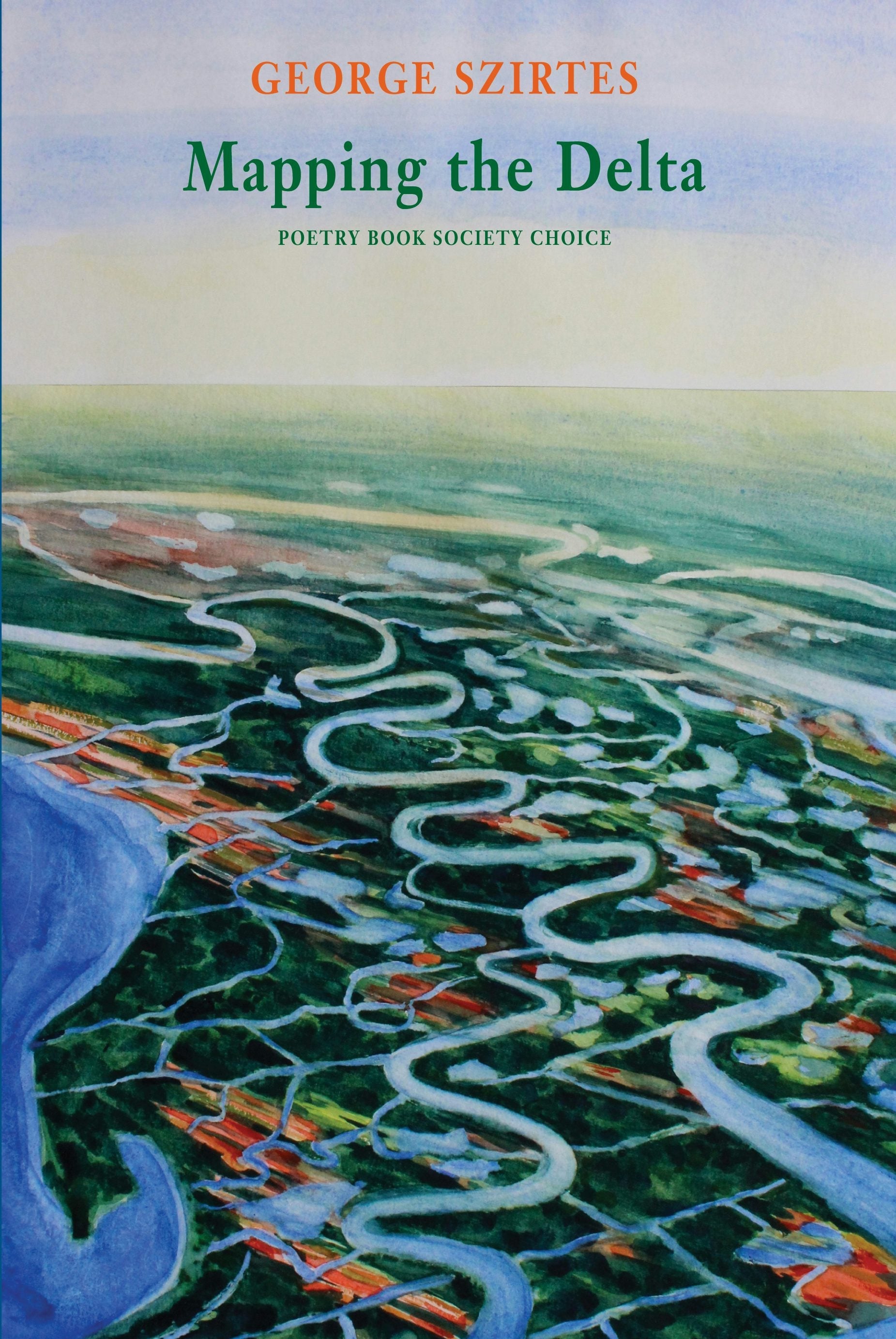 Book cover image for Mapping the Delta ISBN: 9781780373201