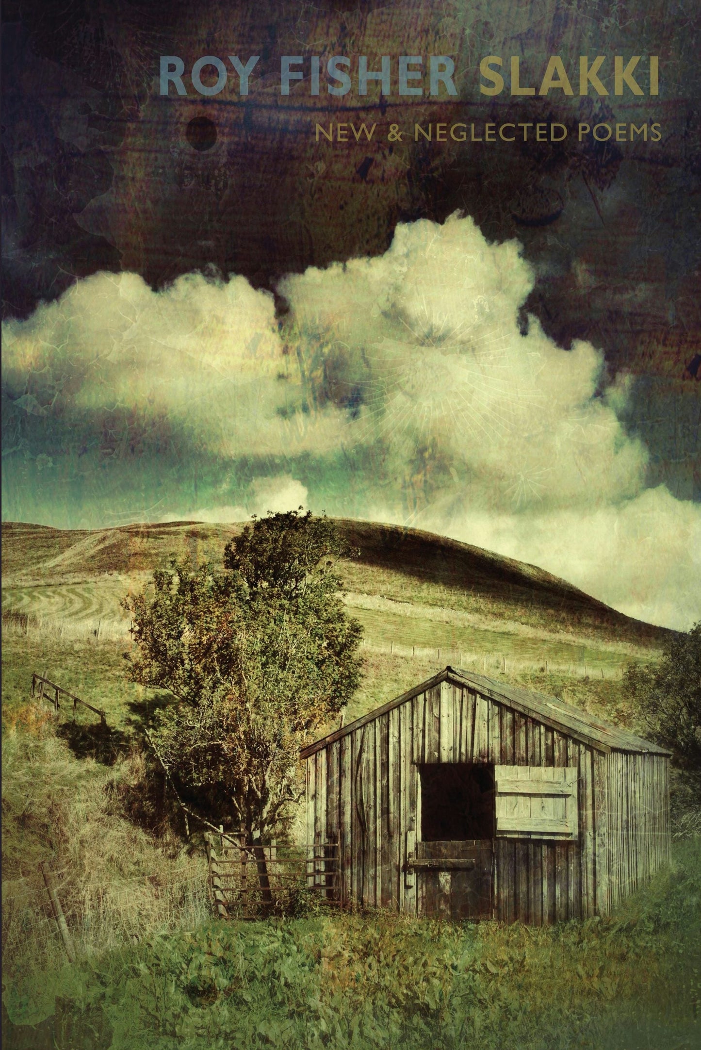 Book cover image for Slakki ISBN: 9781780373225