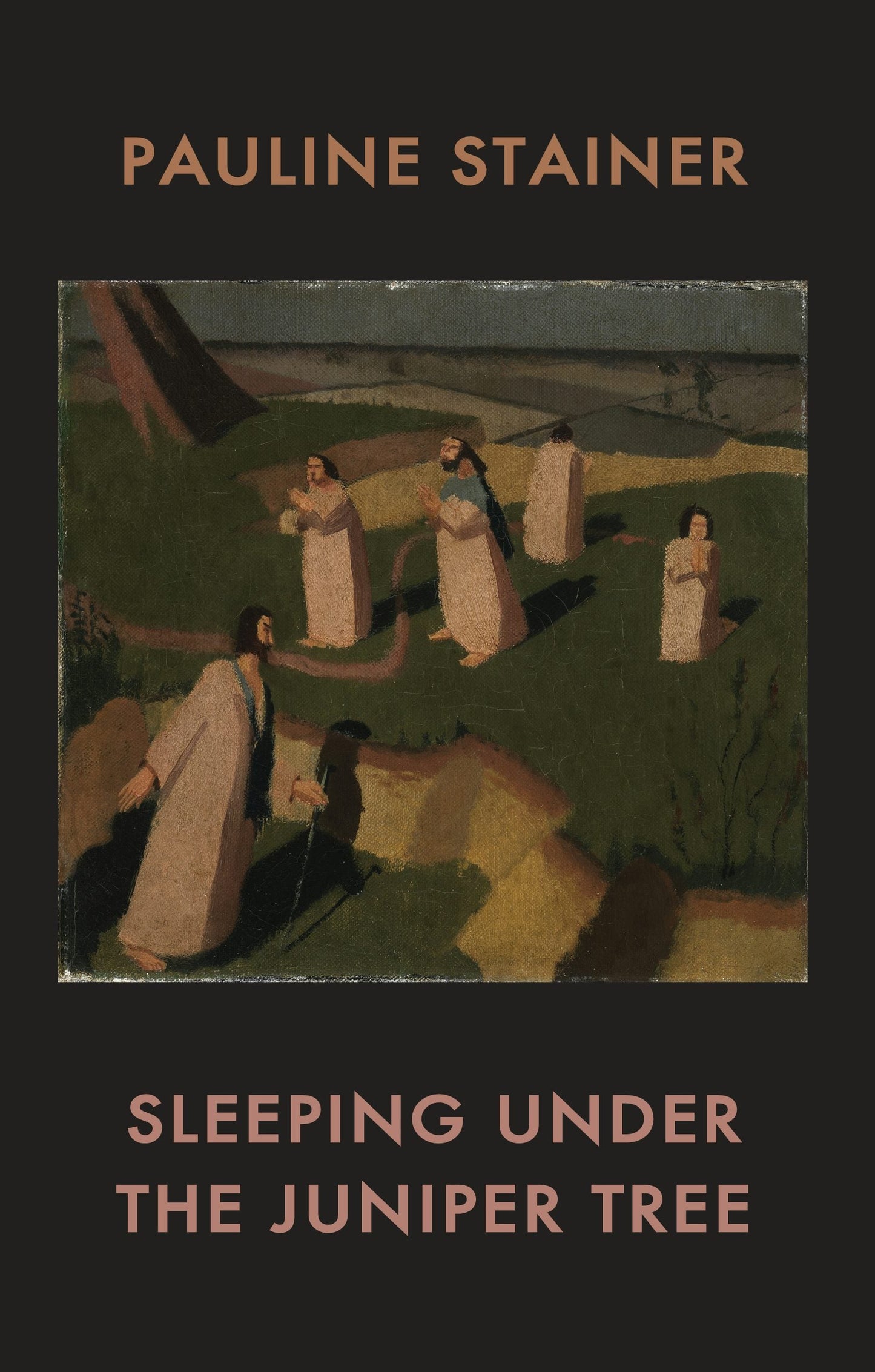 Book cover image for Sleeping under the Juniper Tree ISBN: 9781780373416