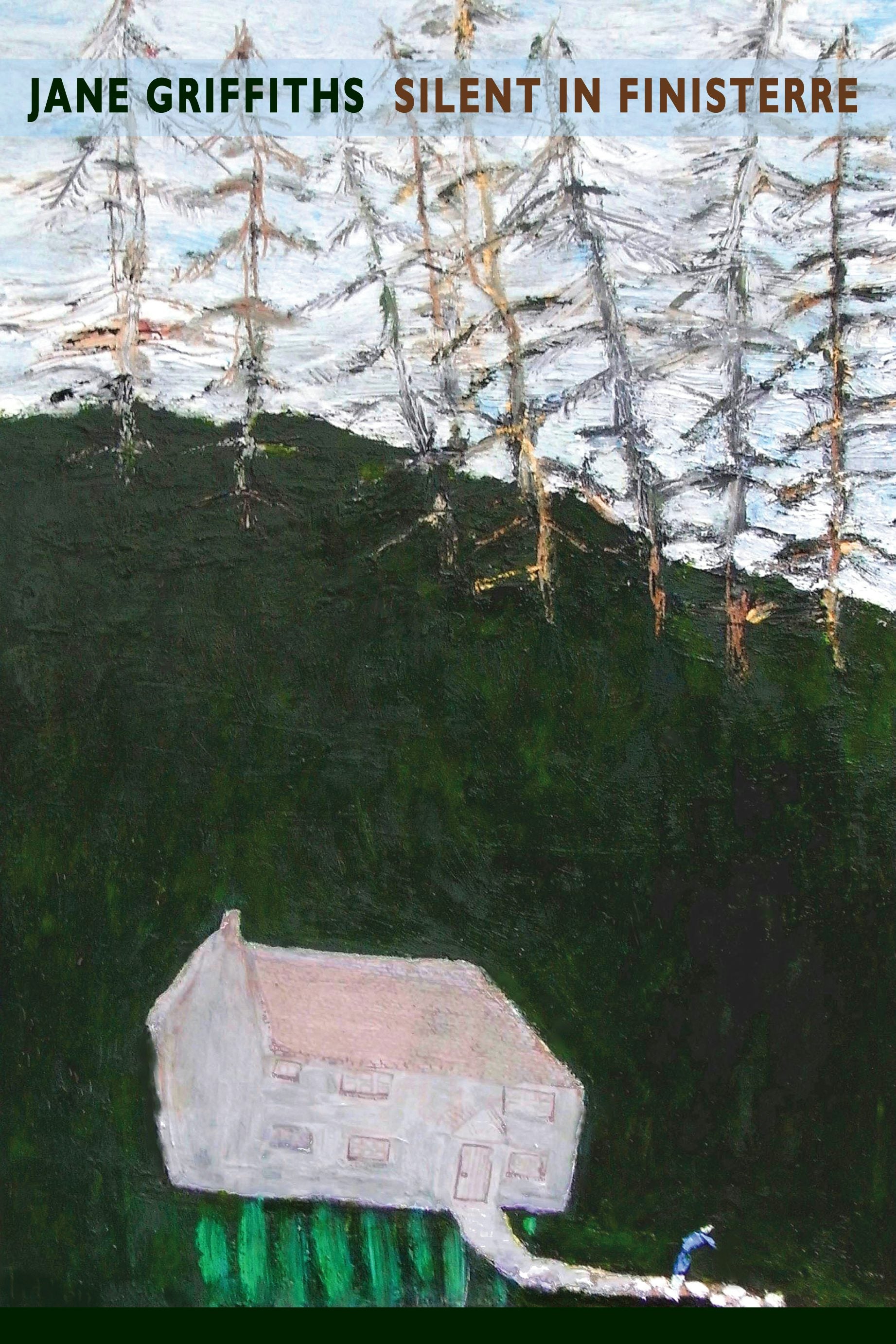 Book cover image for Silent in Finisterre ISBN: 9781780373560