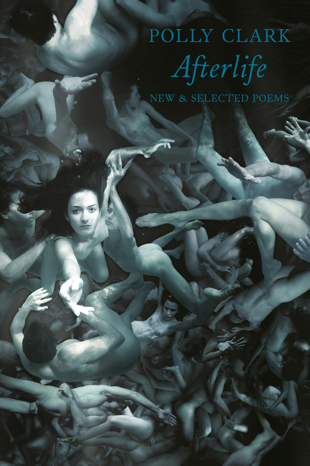 Cover image for Afterlife, isbn: 9781780373720