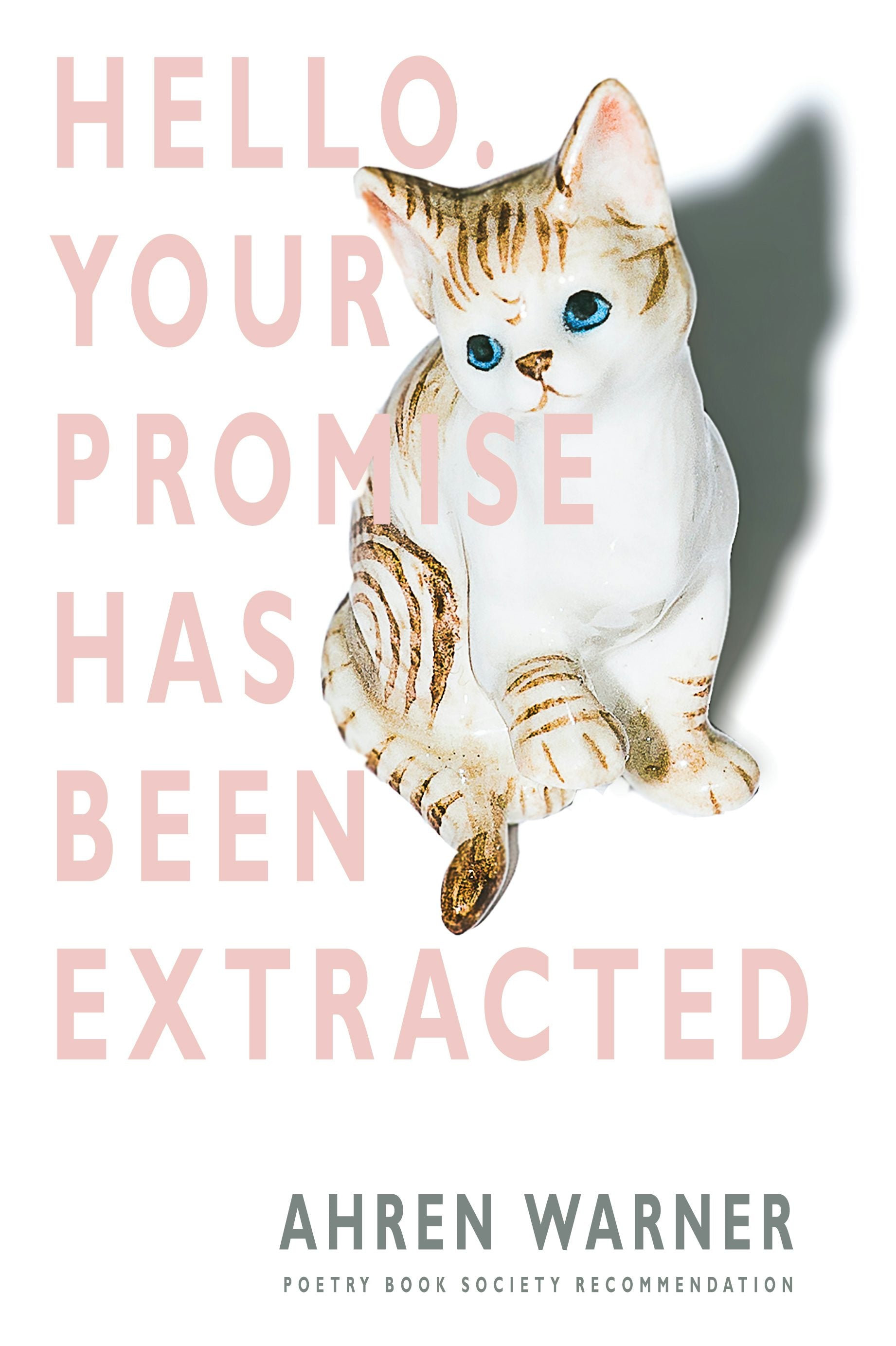 Book cover image for Hello. Your promise has been extracted ISBN: 9781780373782