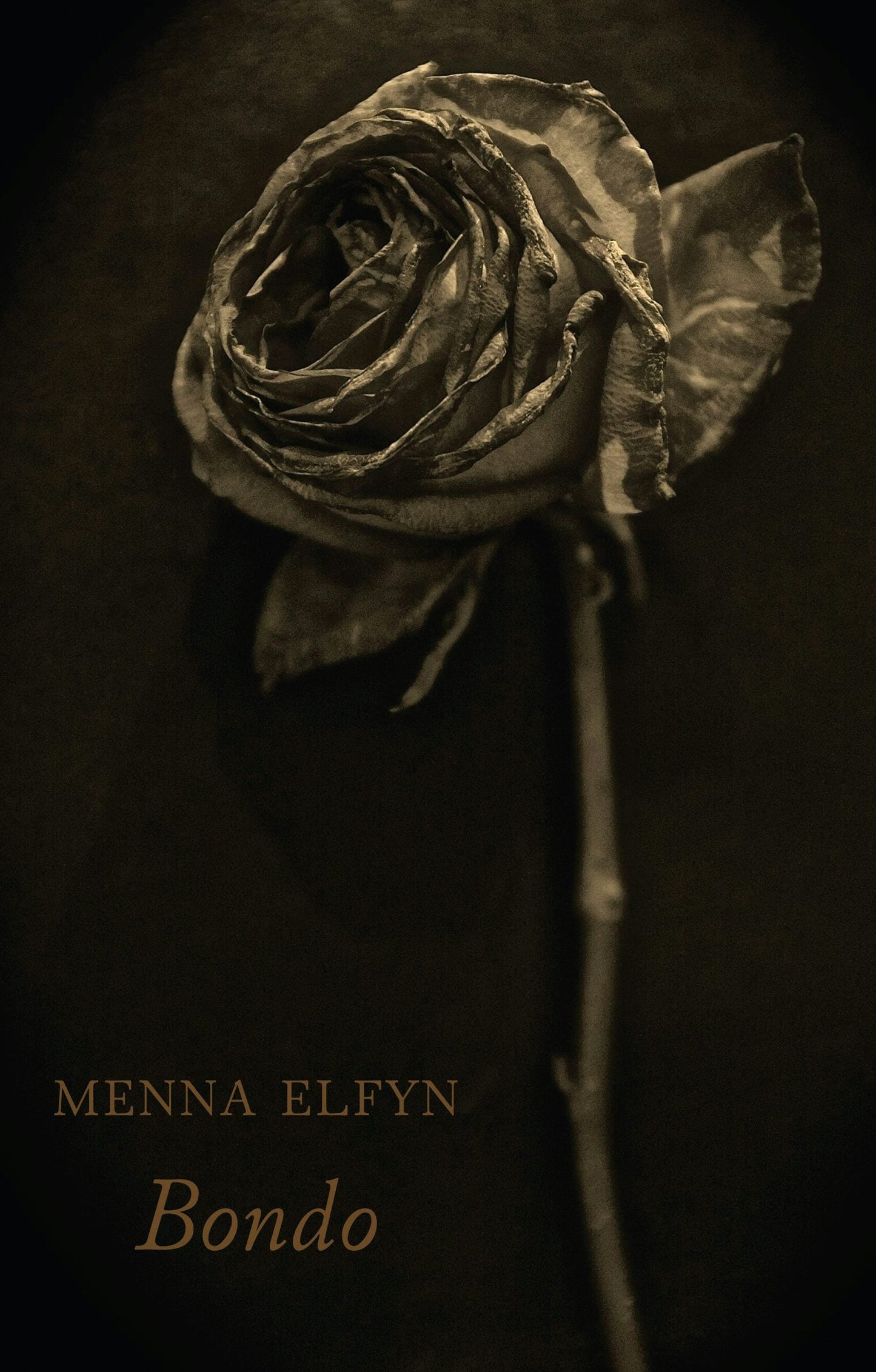 Book cover image for Bondo ISBN: 9781780373881