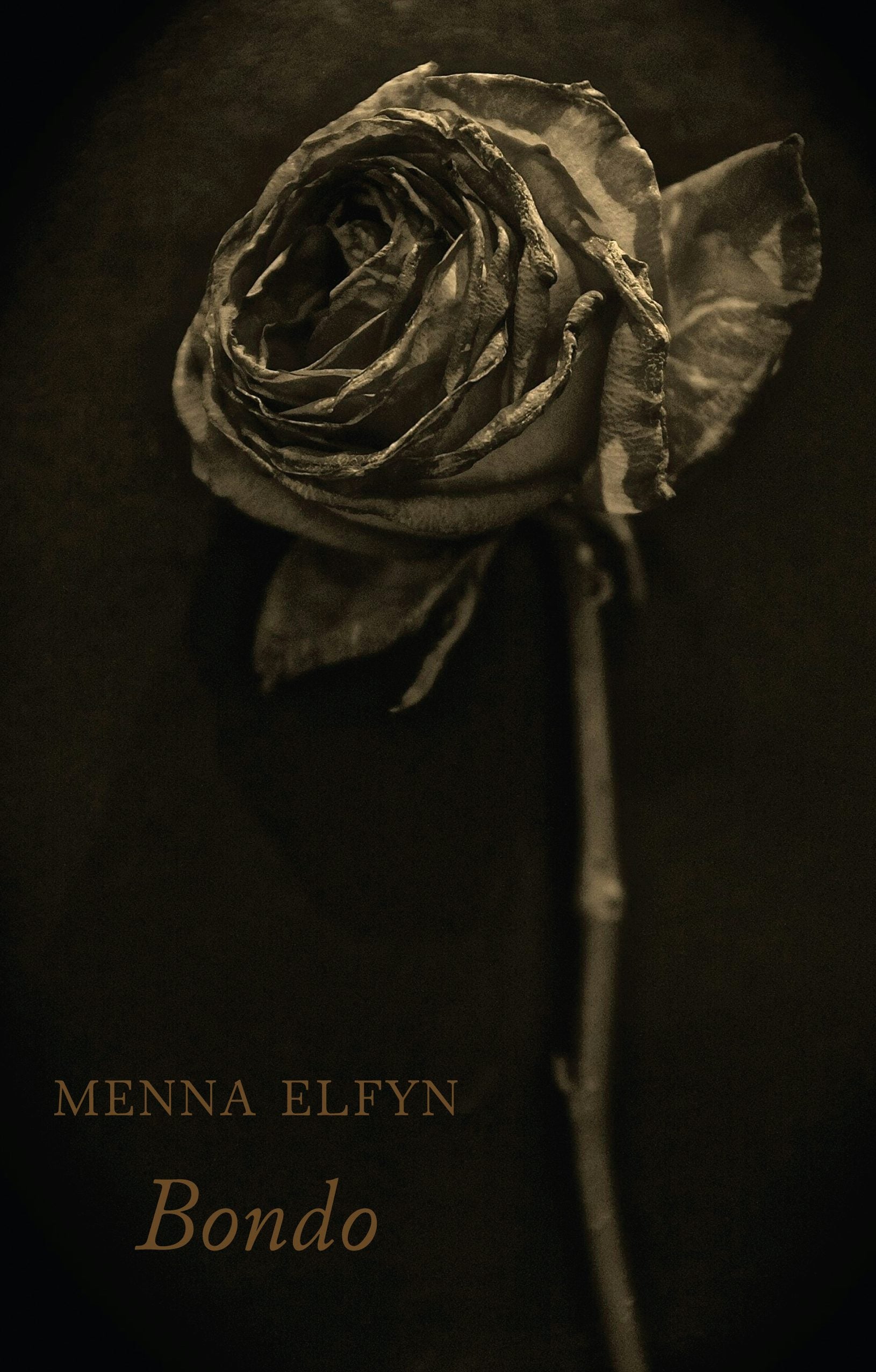 Book cover image for Bondo ISBN: 9781780373881
